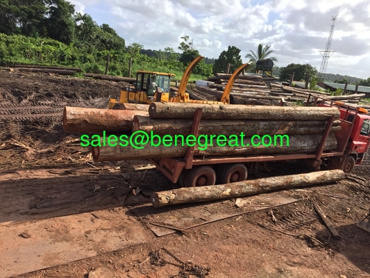 BENE cargador de 8 toneladas con agarre de troncos con capacidad de carga de 8000 kg cargador de ruedas con agarres proveedor